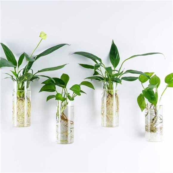 Kingbuy Wall Planter Terrarium Plant Propagation Station Glass Wall Vase for - Picture 2 of 7